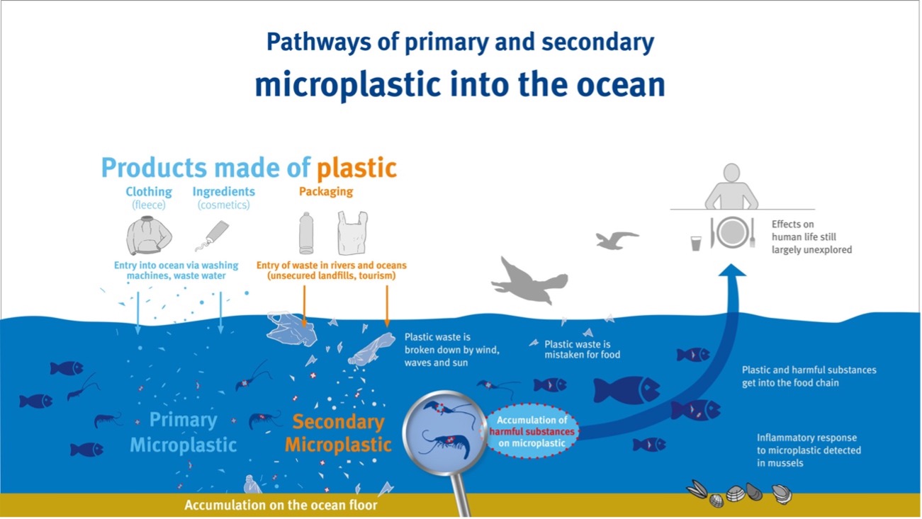 Erklär-Grafik Mikroplastik im Meer